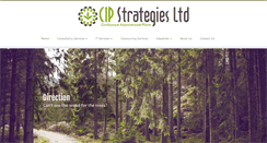 Desktop Screenshot of cip-strategies.com